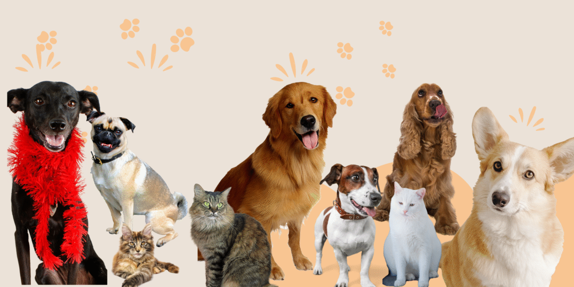 Animal Energy Centers: Radiesthesia in Action